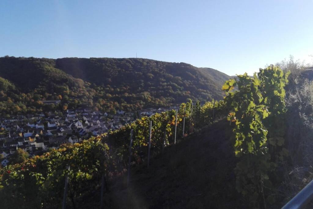 Ferienhaus Chalet Marc Am Moselbogen Villa Koblenz  Dış mekan fotoğraf