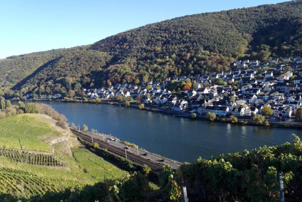 Ferienhaus Chalet Marc Am Moselbogen Villa Koblenz  Dış mekan fotoğraf