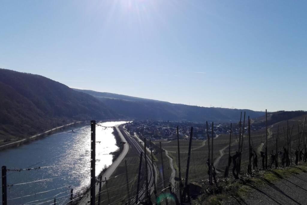 Ferienhaus Chalet Marc Am Moselbogen Villa Koblenz  Dış mekan fotoğraf